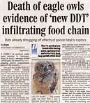 death of eagle owls