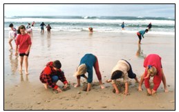 Sandy beaches