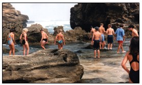 rocky shores