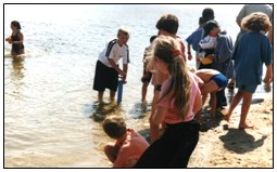 estuaries