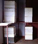 Keokama Honey