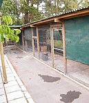 Owl breeding Project