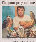 poor prey on rare raptors