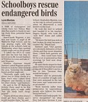 schoolboys rescue birds