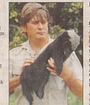 honey badger rescued