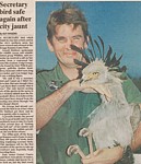 secretary bird safe