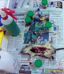 Disease Monitoring