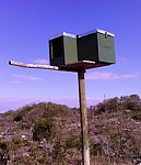 nesting box