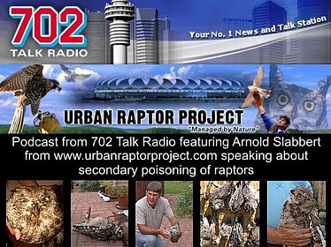 Podcast 702 Secondary Poisoning of Raptors