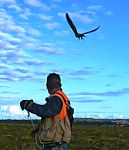 Arnold Slabbert falcon training