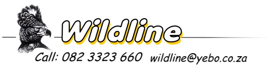 Wildline - Urban Raptor Project